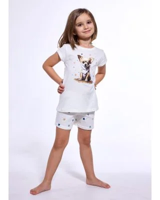 Piżama Girl Kids KR Chihuahua 787/108 