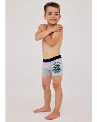 Bokserki Boys  Kids  Mission 2  701/138 
