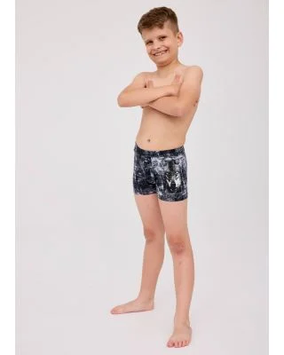 Bokserki Boys  Young   Wolf 2 700/144